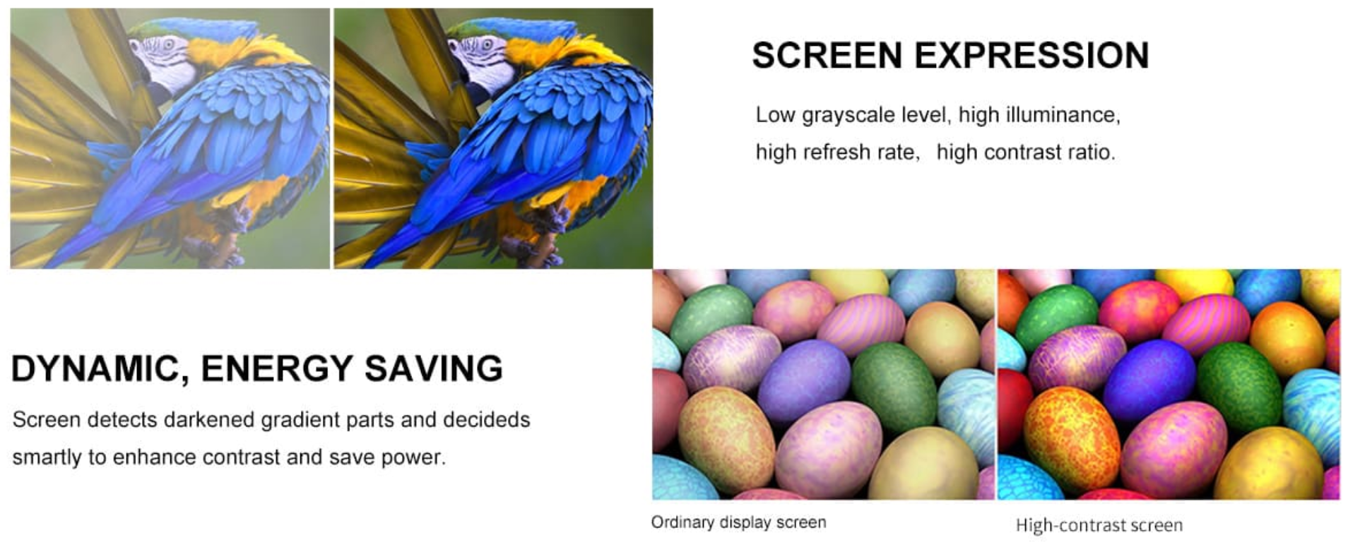 微信图片_2026-01-13_083548_406